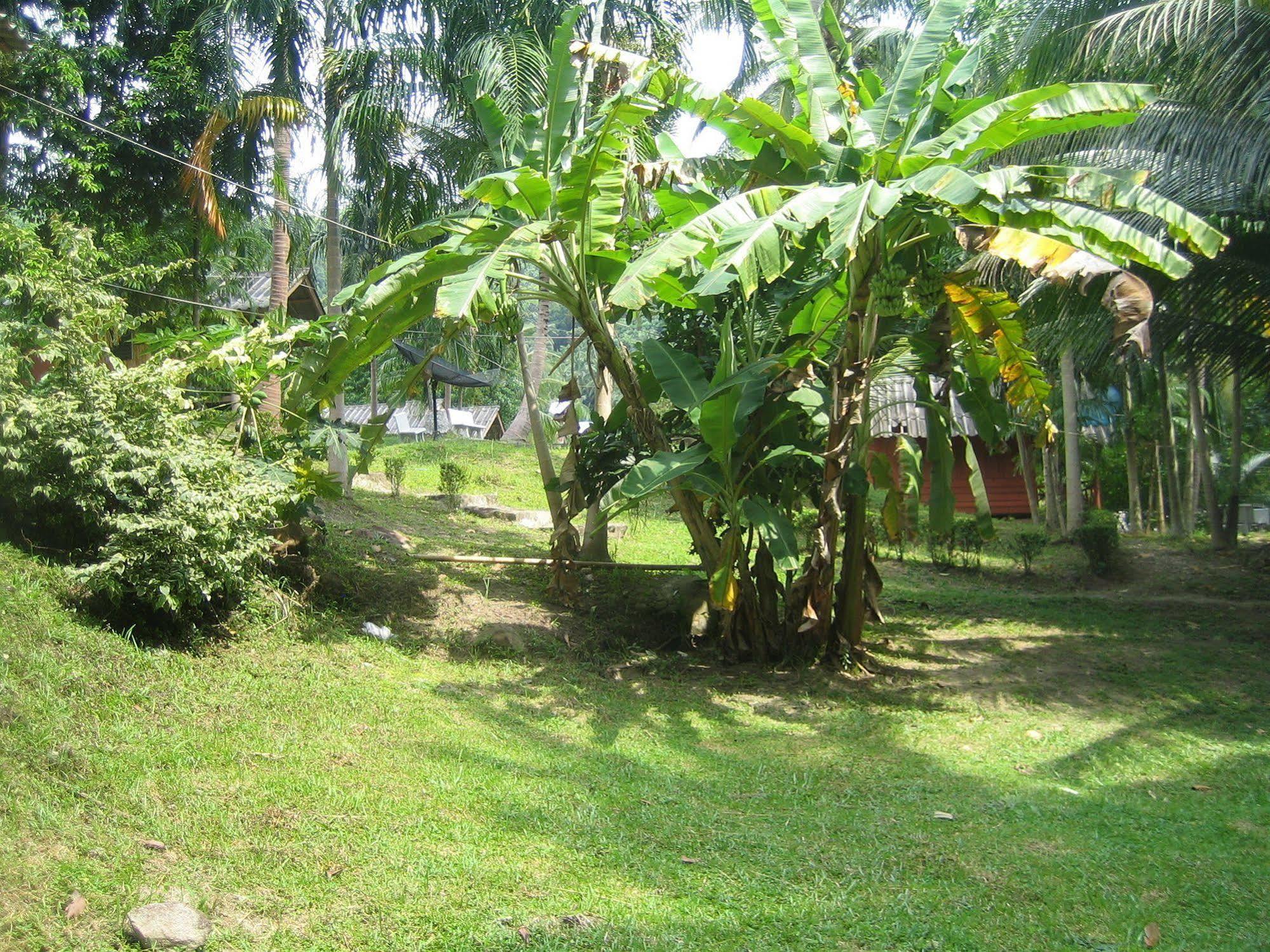 J. Sea View Resort Ko Pha Ngan Esterno foto